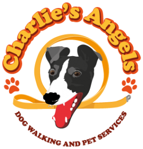 Charlie's Angels Logo